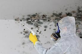 Asbestos and Lead Testing During Mold Inspection in Howard, WI